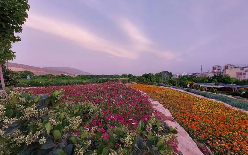 باغ گل های شیراز کجاست؟