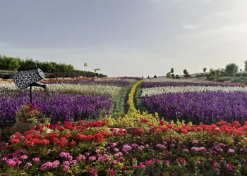 باغ گل های شیراز؛تجربه‌ای رنگارنگ و دلنشین در دل شهر