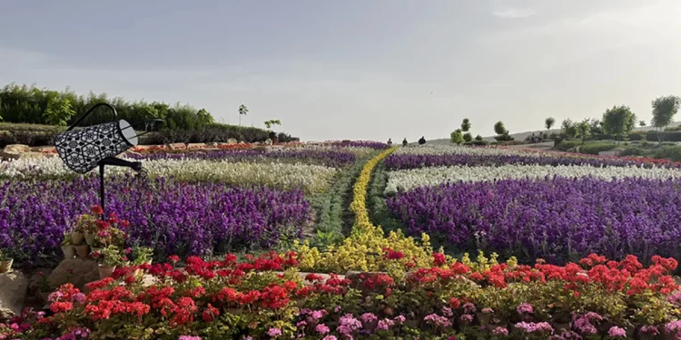 باغ گل های شیراز؛تجربه‌ای رنگارنگ و دلنشین در دل شهر