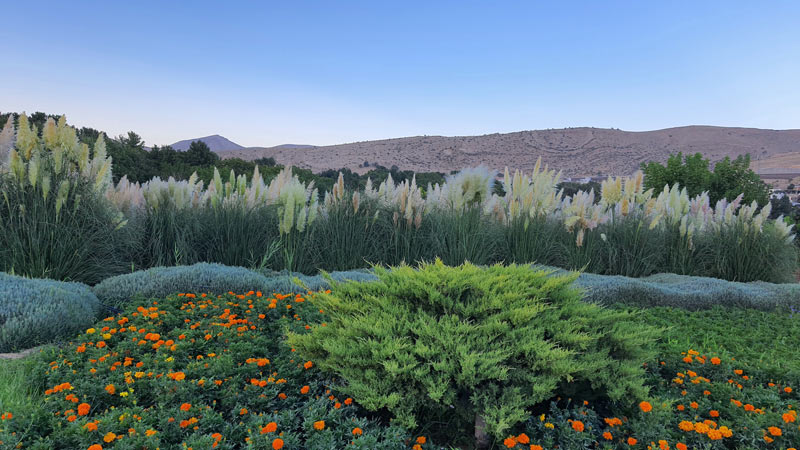 بهترین زمان بازدید