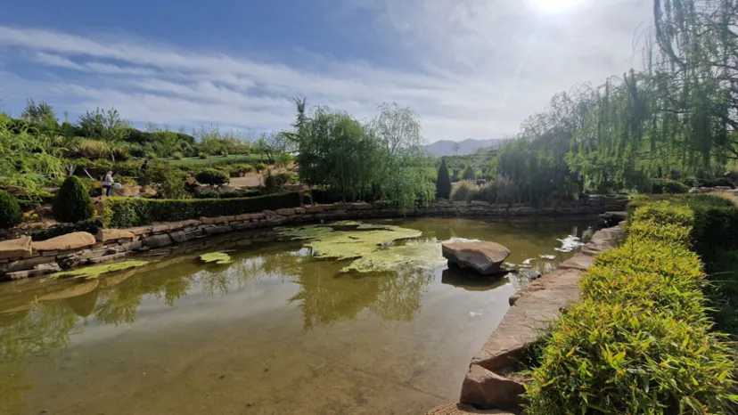 مسیر دسترسی به باغ گل های شیراز