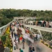 پل طبیعت تهران؛جواهری در دل پایتخت