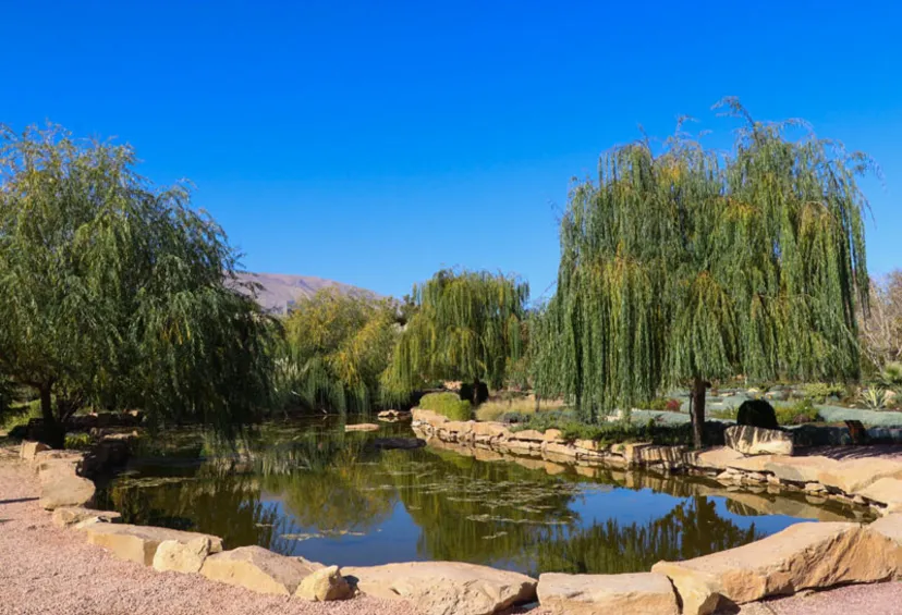 پوشش گیاهی و طراحی باغ