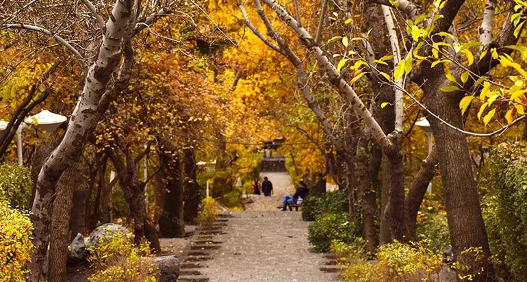 امکانات رفاهی و تفریحی پارک جمشیدیه