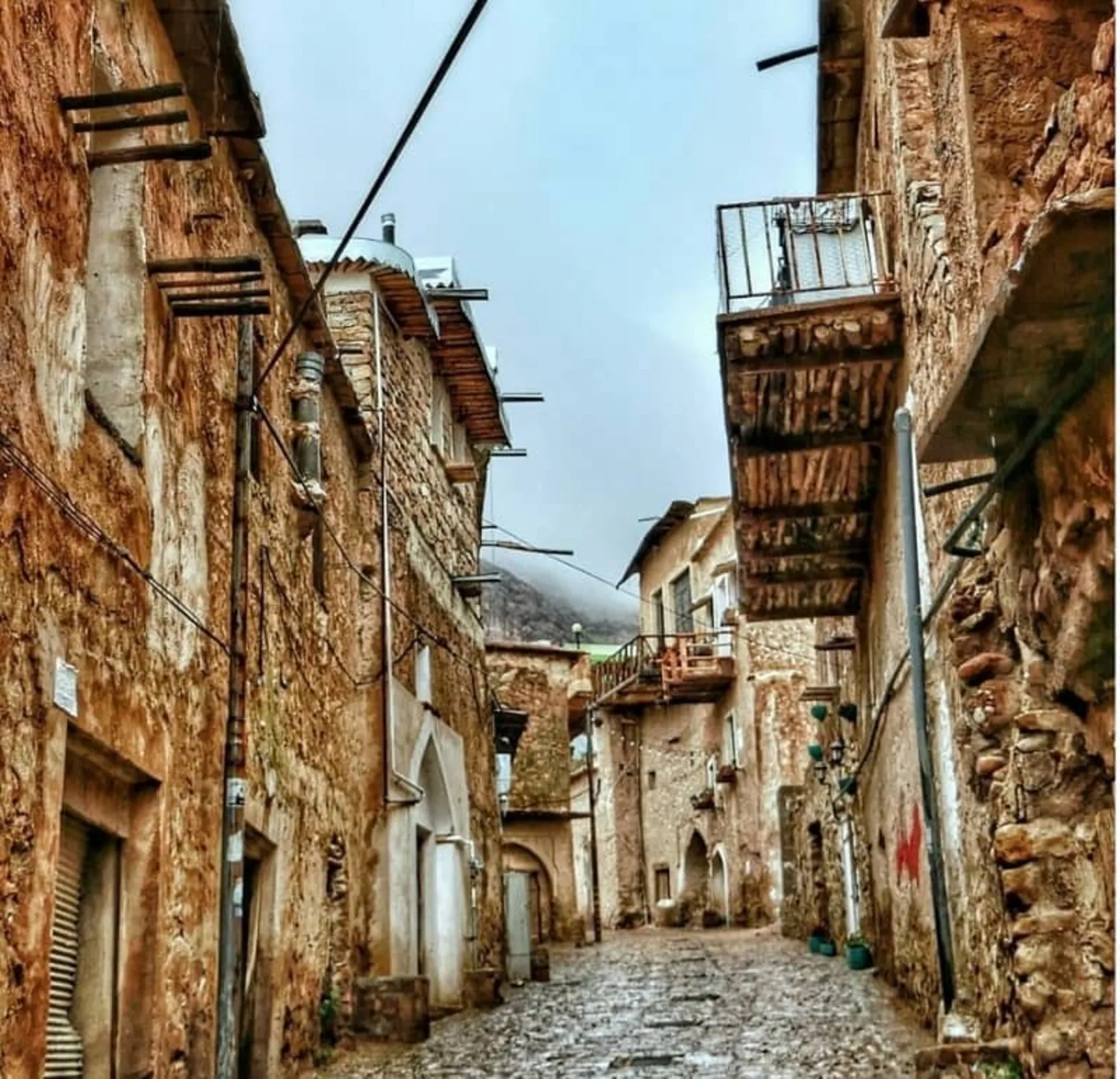 بهار در قلات