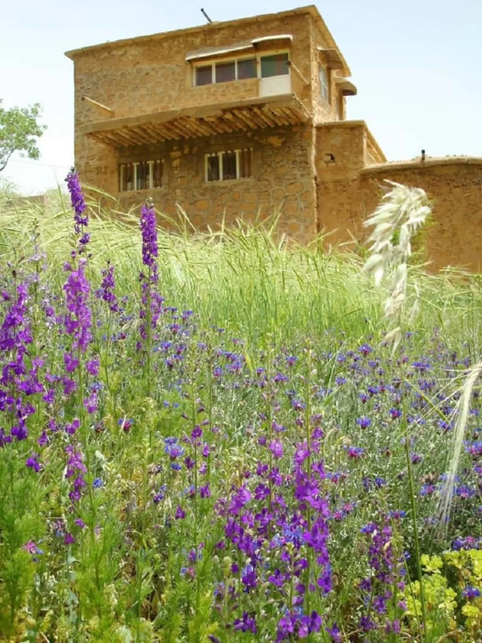 تفریحات و فعالیت‌ها در روستای قلات