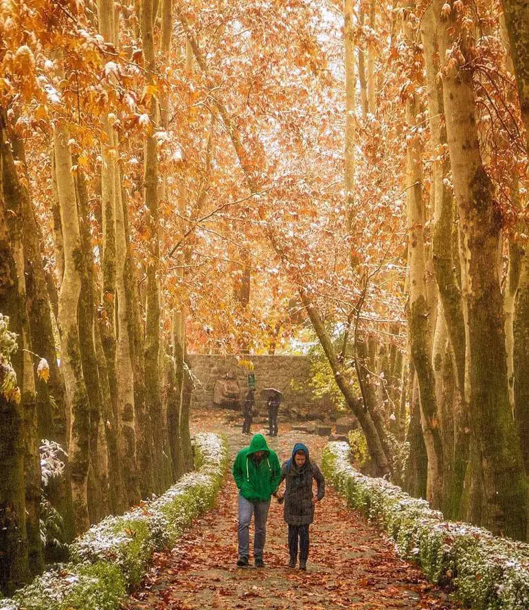 موقعیت و مسیر دسترسی به پارک جمشیدیه