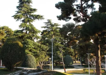 پارک ساعی تهران؛پناهگاهی سبز در دل پایتخت