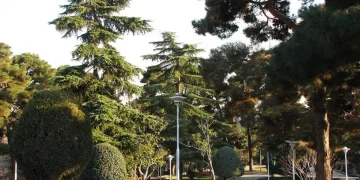 پارک ساعی تهران؛پناهگاهی سبز در دل پایتخت