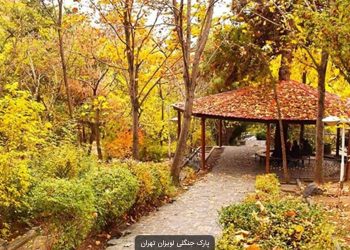 پارک جنگلی لویزان؛تکه‌ای از طبیعت سرسبز در قلب تهران