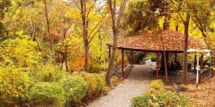 پارک جنگلی لویزان؛تکه‌ای از طبیعت سرسبز در قلب تهران